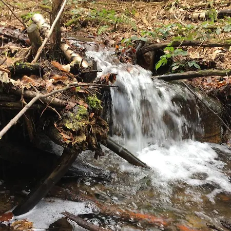Ackerbuergerhof * Gernrode (Saxony-Anhalt)