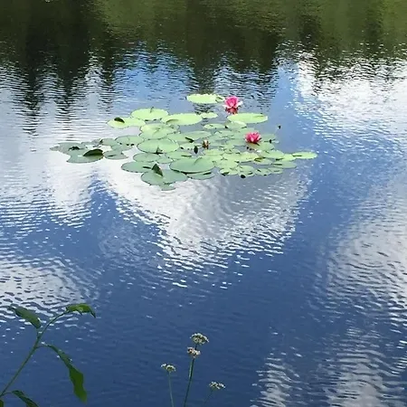 Ackerbuergerhof Apartmán Gernrode (Saxony-Anhalt)