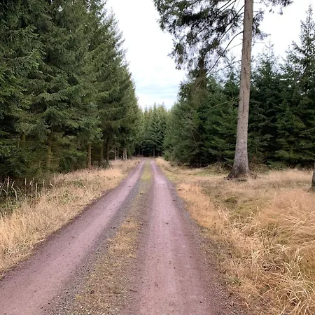 Ackerbuergerhof Διαμέρισμα Gernrode (Saxony-Anhalt)