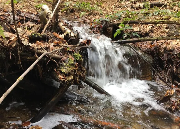Ackerbuergerhof * Gernrode (Saxony-Anhalt)
