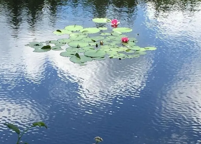Ackerbuergerhof Lejlighed Gernrode (Saxony-Anhalt)