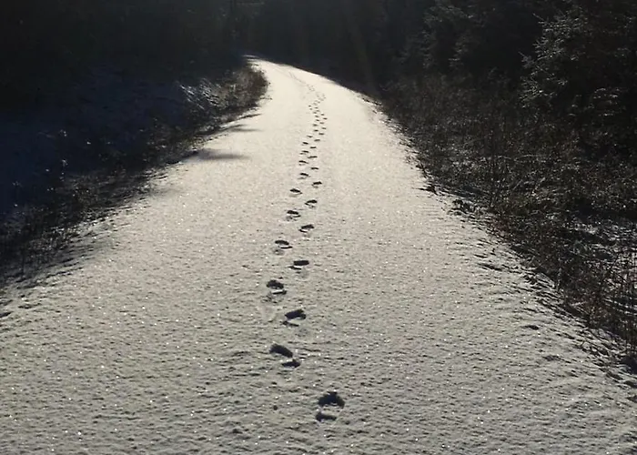 Ackerbuergerhof Lejlighed *