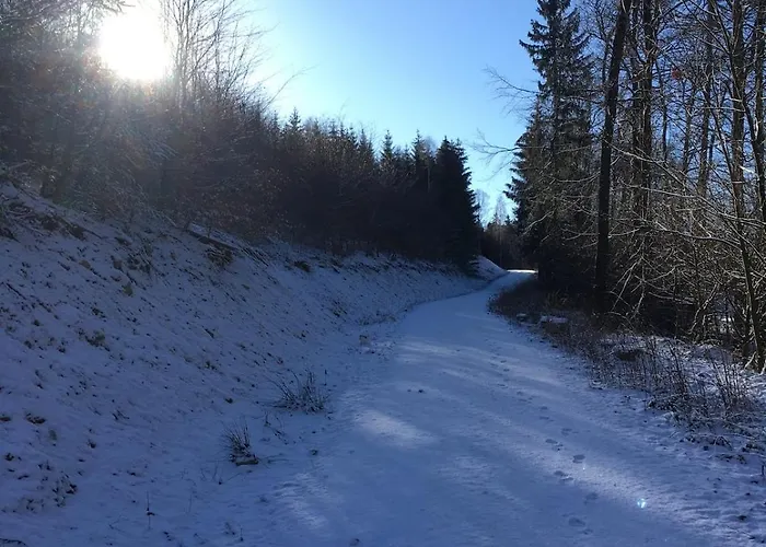 Lejlighed Ackerbuergerhof Gernrode (Saxony-Anhalt)