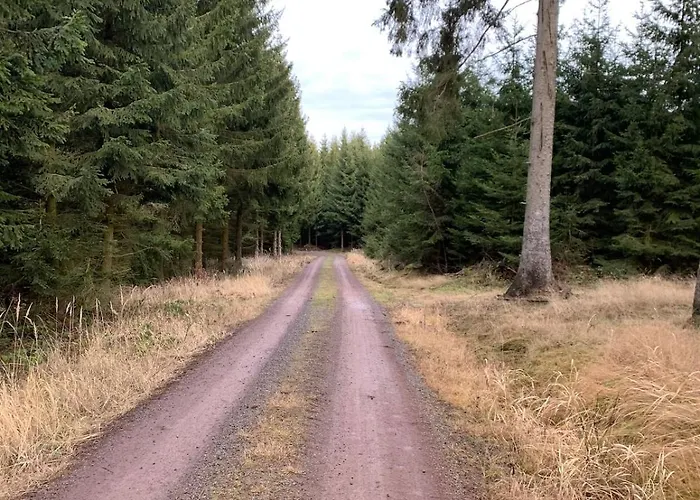 Ackerbuergerhof Lejlighed Gernrode (Saxony-Anhalt)
